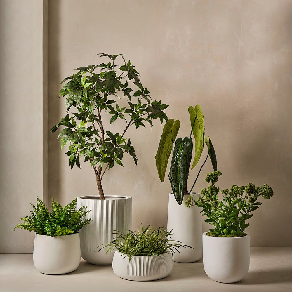 indoor plant pots australia Pot Linear (set/2)