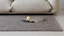 Stunning Rugs for Cozy Homes | House of Isabella