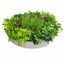 Artificial Green Wall Disk Art 80cm - Mixed Fern