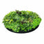 Artificial Green Wall Disk Art 150cm - Mixed Ivy And Philodendron