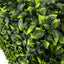 Portable Jasmine Artificial Hedge Plant UV Resistant 75cm x 75cm