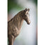 Horse Statue in Rustic Gold Finish 18cmh