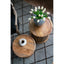 2 piece Natural Burn Finish Jali Side Tables