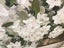 White Wildflowers Bouquet Canvas Print