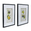 Botanical Wall DÃ©cor set of 2,  classic fruit illustrations in black frames,  blends classic design with contemporary appeal.