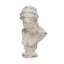 Artemis Bust with a distressed finish