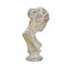 Artemis Bust with a distressed finish