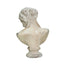 Artemis Bust with a distressed finish