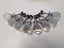 Round Acrylic Furniture & Door Handles set of 8