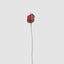 Anthurium Lily Real Touch Burgundy (Set of 24)