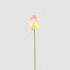 Anthurium Lily Real Touch Pink (Set of 24)