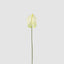 Anthurium Lily Real Touch White (Set of 24)