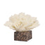 Coral Marble Sculpture - Beige