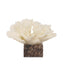Coral Marble Sculpture - Beige