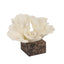 Coral Marble Sculpture - Beige