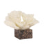 Coral Marble Sculpture - Beige