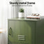 2x Buffet Sideboard Cabinet Storage Cupboard 2 Doors Metal Green DOUBLE