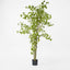 Artificial Ginko Tree Potted 1.8m