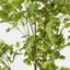 Artificial Ginko Tree Potted 1.8m
