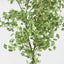 Artificial Ginko Tree 2.4m Potted - House of Isabella AU