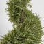 Artificial Rosemary Spiral Tree 1.2m - House of Isabella AU