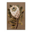 60 x 90cm Framed Canvas - Natural