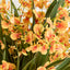 Lacey Arrangement Orange