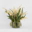 Lacey Arrangement Cream