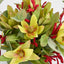Alsanne Arrangement