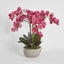 Vivienne Arrangement Taupe