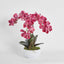 Colette Arrangement White