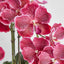 Colette Arrangement White