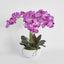 Arianne Arrangement White