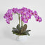 Arianne Arrangement White
