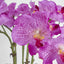 Arianne Arrangement White