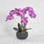 Amira Arrangement Black