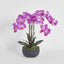 Amira Arrangement Black