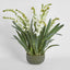Ferne Arrangement Olive