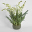 Ferne Arrangement Olive