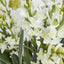 Ferne Arrangement Olive