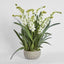 Ferne Arrangement Taupe