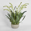 Ferne Arrangement Taupe