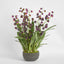 Mandine Arrangement Black