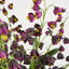 Mandine Arrangement Black