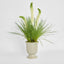 Cream Foxtail Arrangement Taupe
