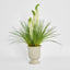 Cream Foxtail Arrangement Taupe