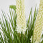 Cream Foxtail Arrangement Taupe
