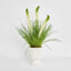 Cream Foxtail Arrangement White