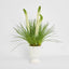 Cream Foxtail Arrangement White