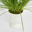 Cream Foxtail Arrangement White